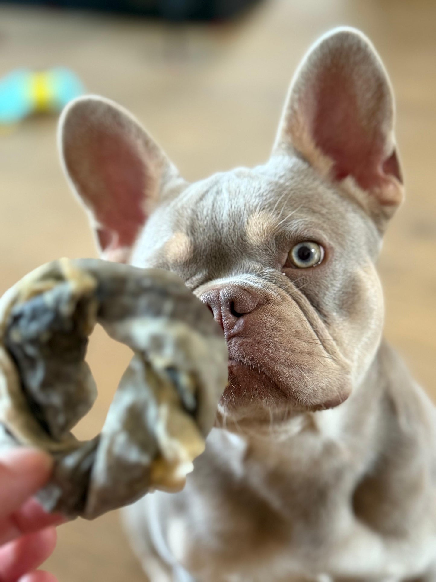 Kabeljauw dognut