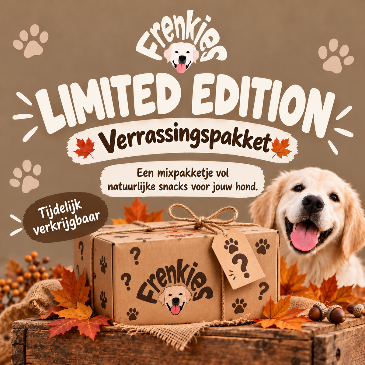 Themabox Herfst