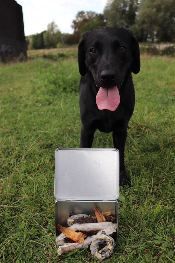 Snackbox