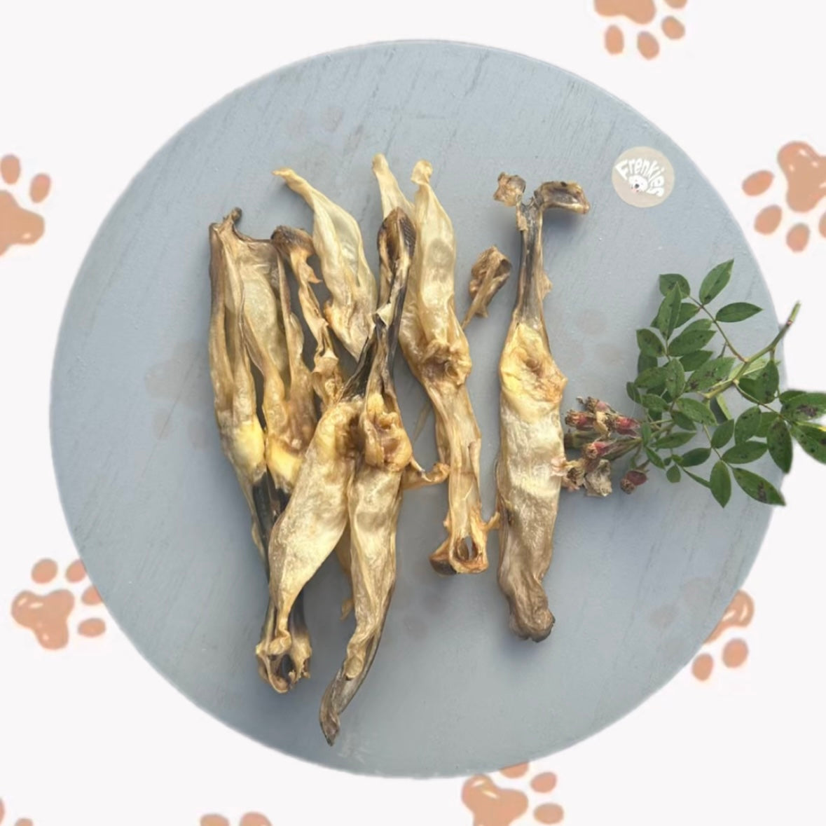 konijnenoren zonder haar