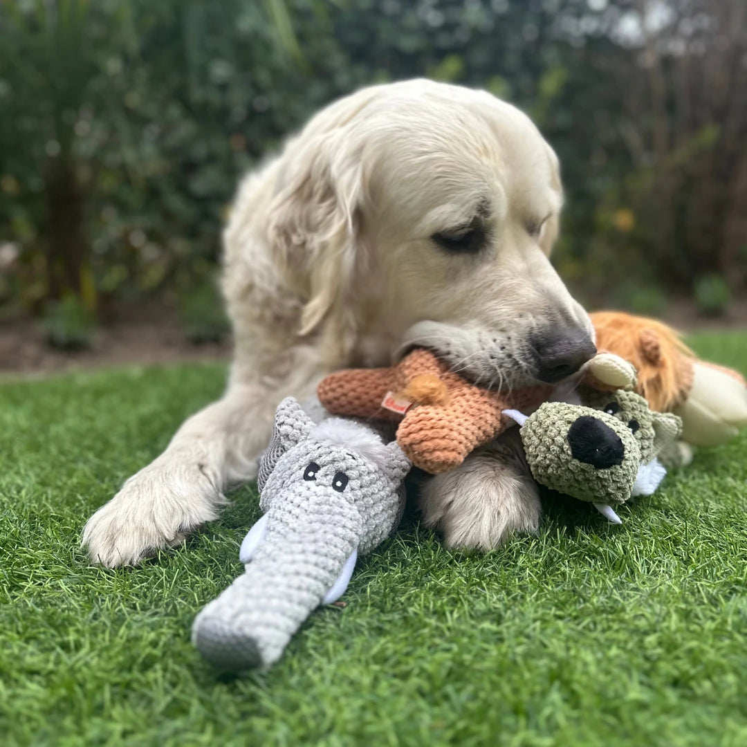 Frenkies non food knuffels voor honden