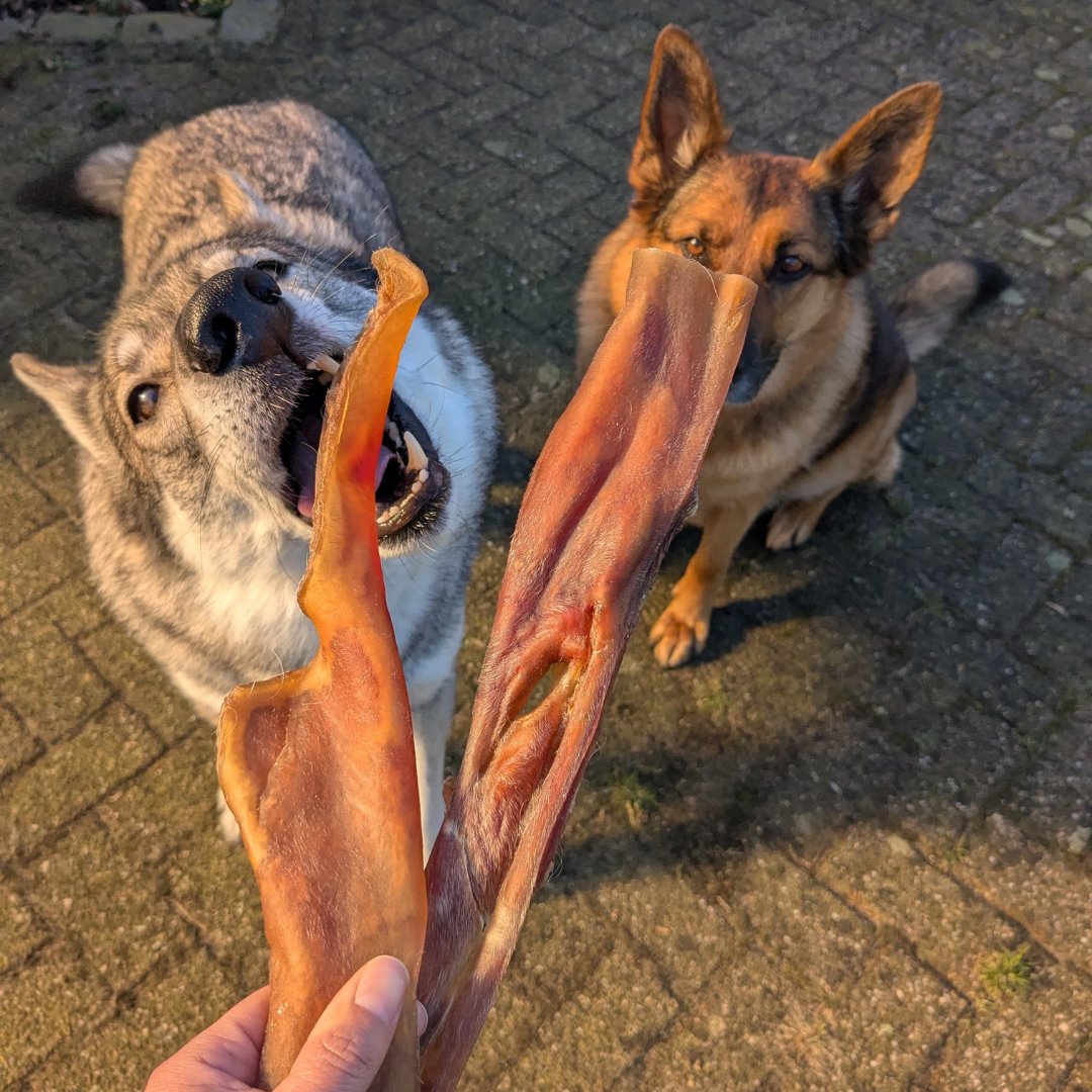 Losse natuurlijke hondensnacks Frenkies