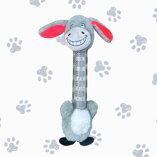 Donkey