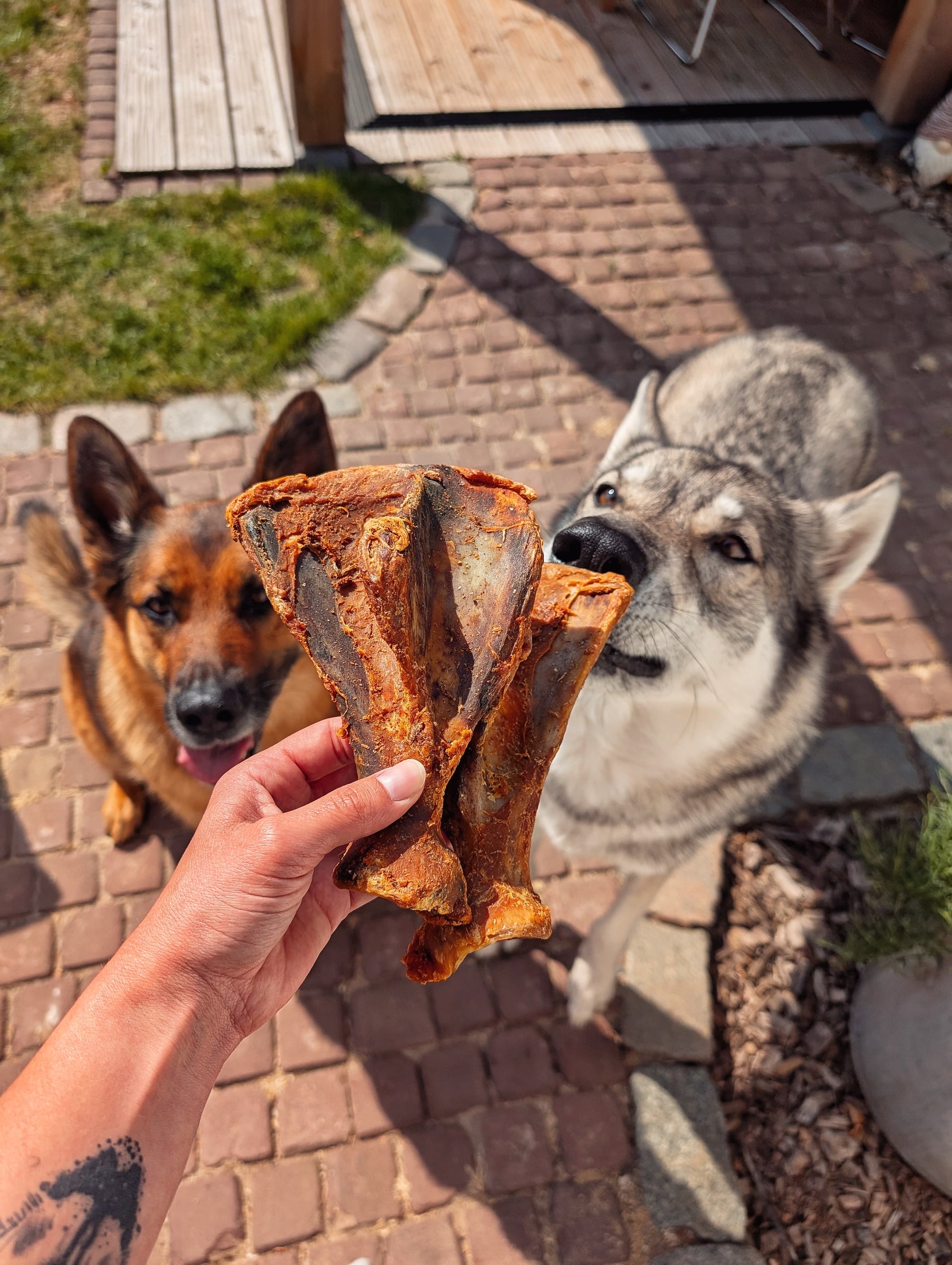 Schouderblad van een varken voor honden