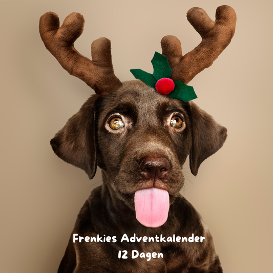 Adventskalender - 12 dagen PRE-ORDER