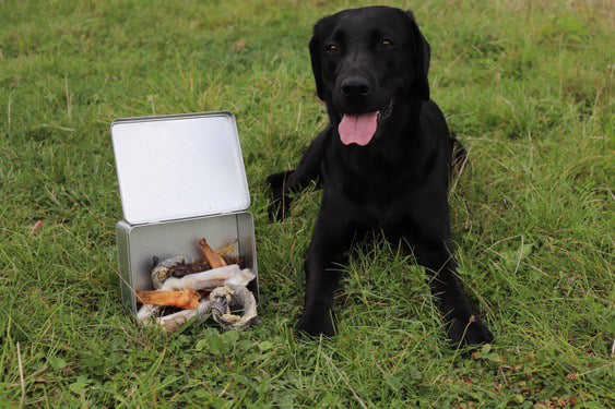 Snackbox