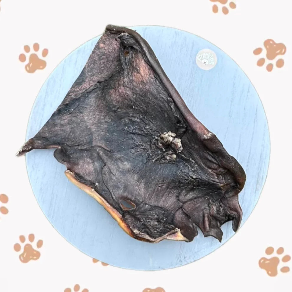 Kamelen kophuid - 1kg
