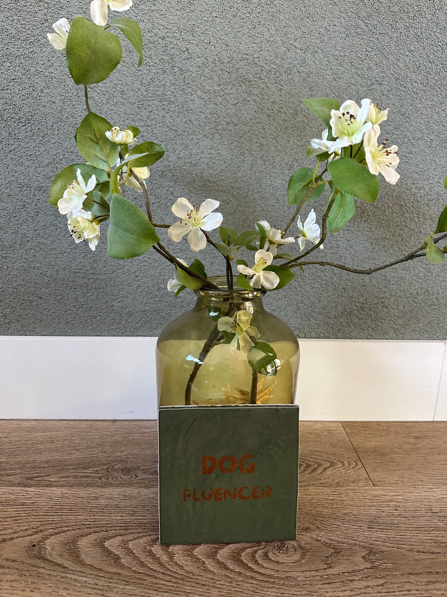 Frenkies Tegel Dogfluencer Groen