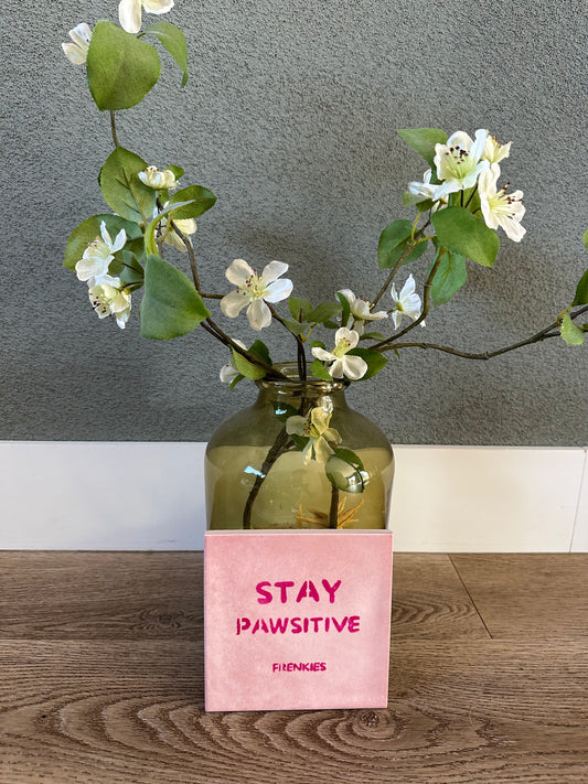 Frenkies Tegel Stay Pawsitive Roze