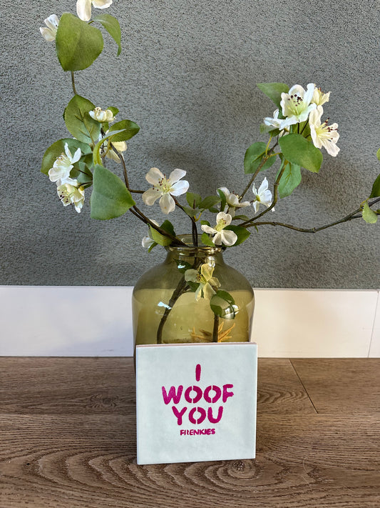 Frenkies Tegel I Woof You Mint