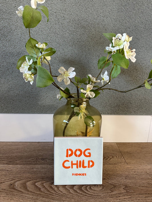 Frenkies Tegel Dog Child Mint