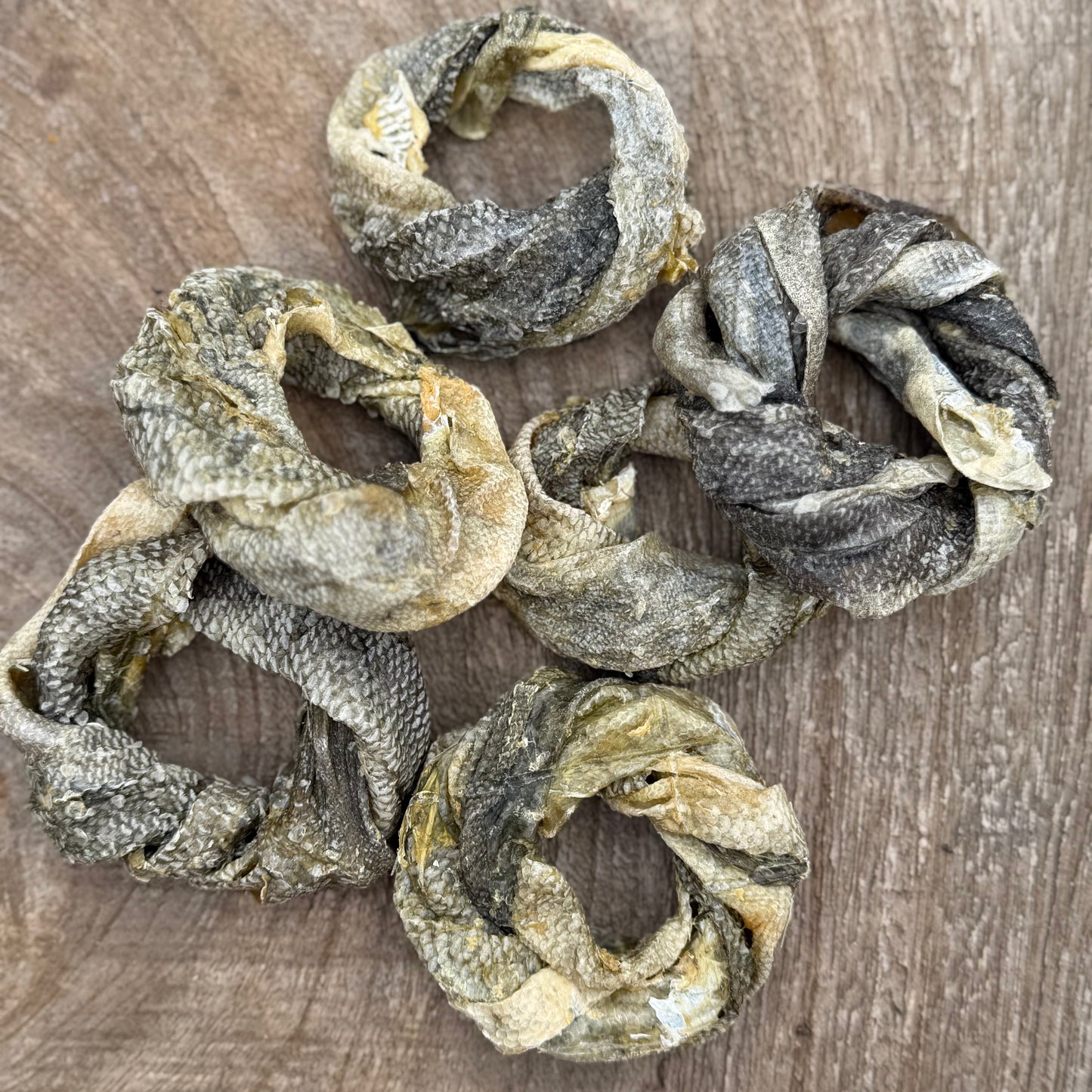 Kabeljauwdognuts hond