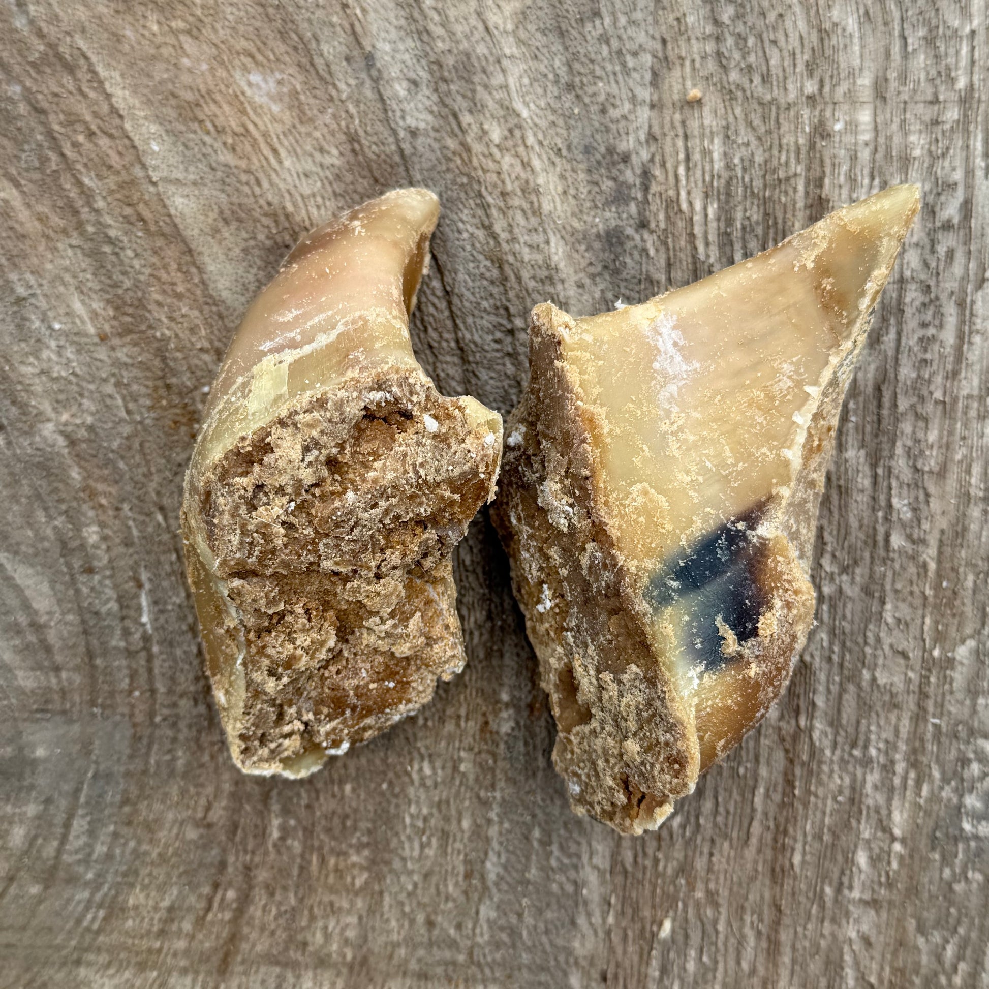 Kauwhoefje met pate voor hond