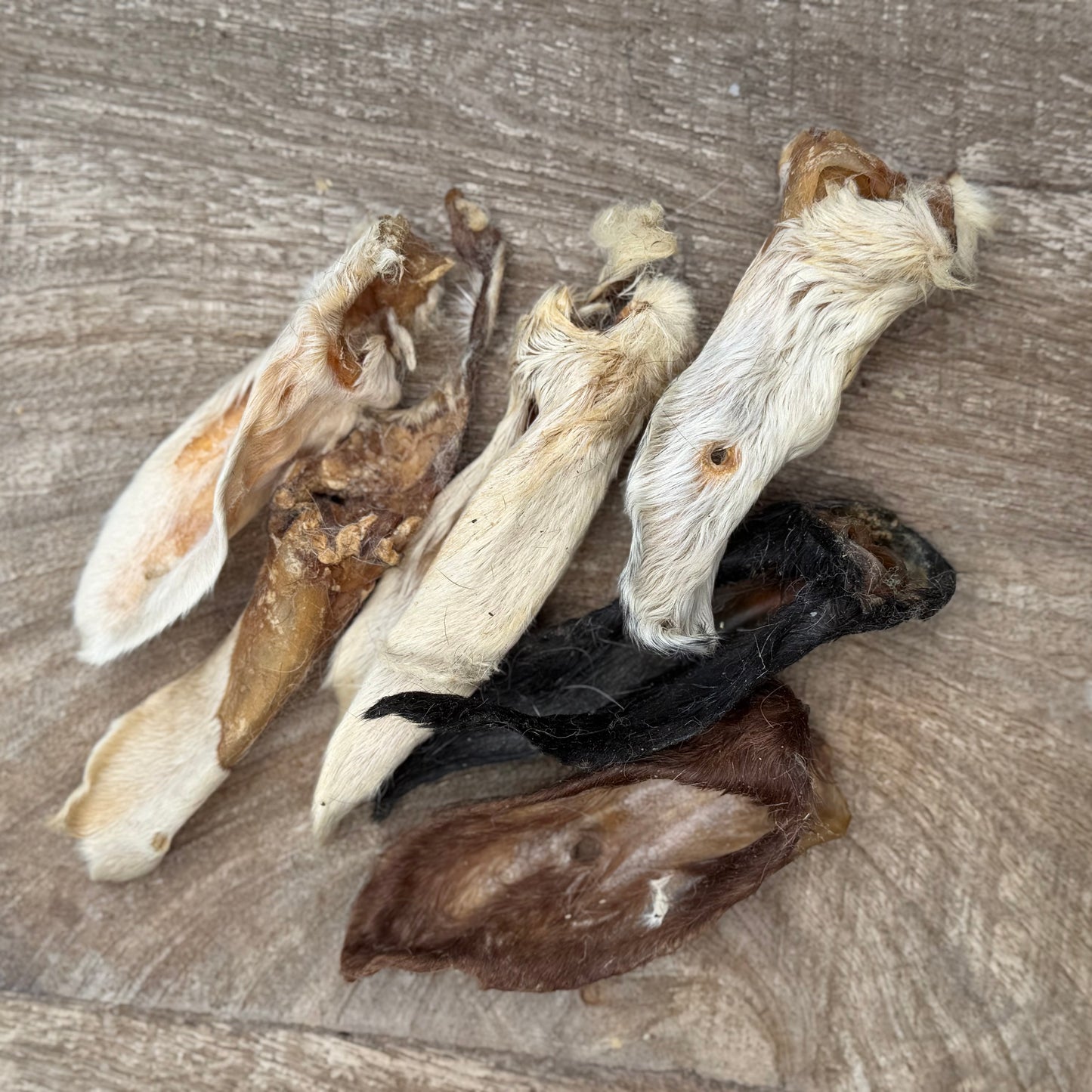 Lamsoren met haar voor hond