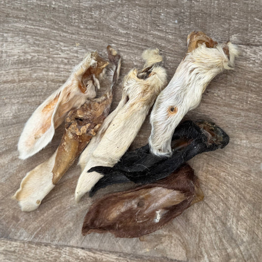Lamsoren met haar voor hond