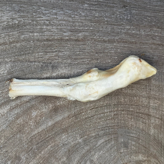 Lamspoot voor honden