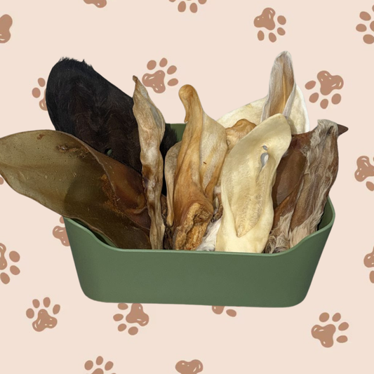 Snackbox - Try-out oren