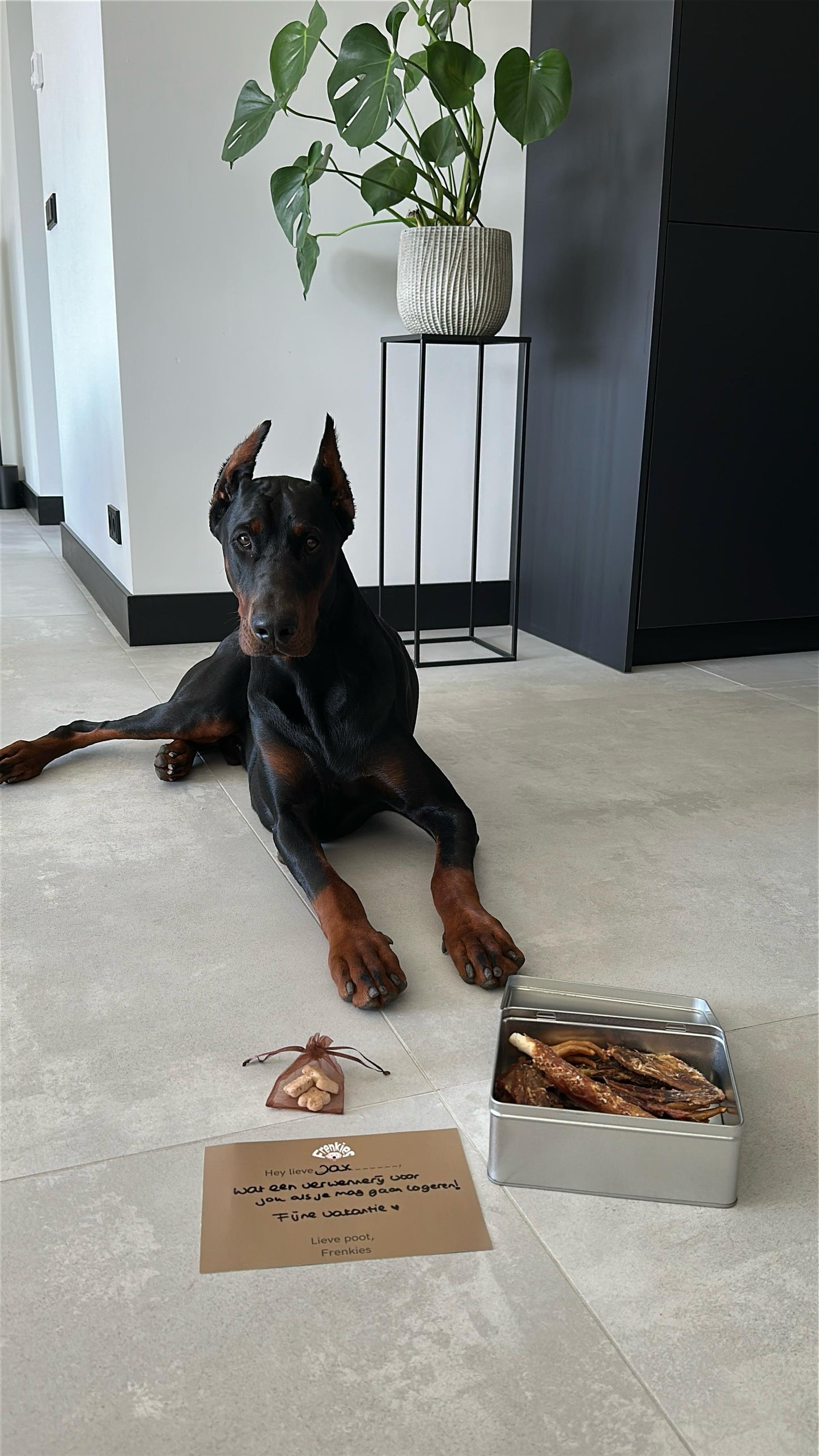 Hond met een gevulde snackbox van natuurlijke hondensnacks