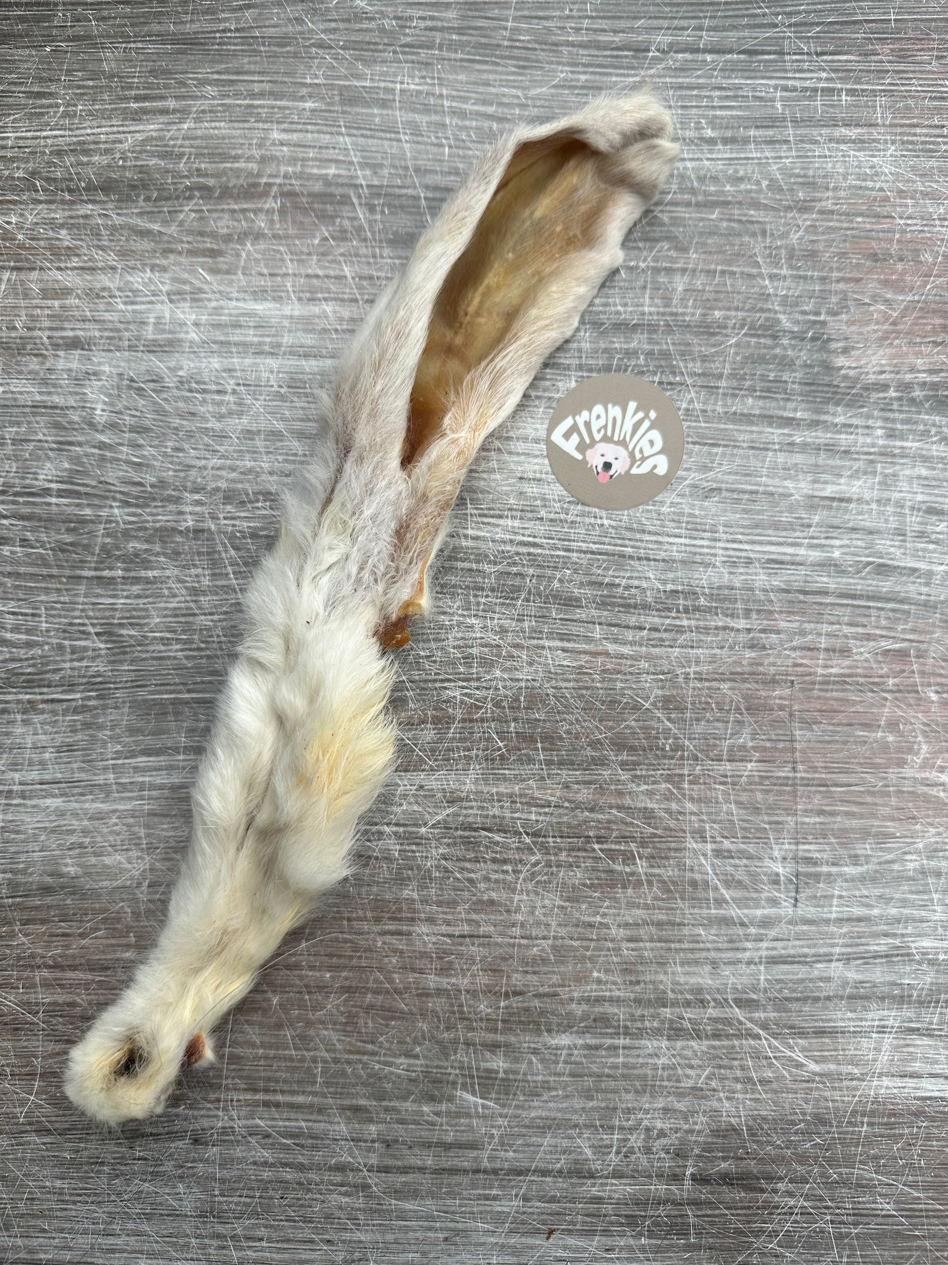 konijnenoor met haar snack voor hond