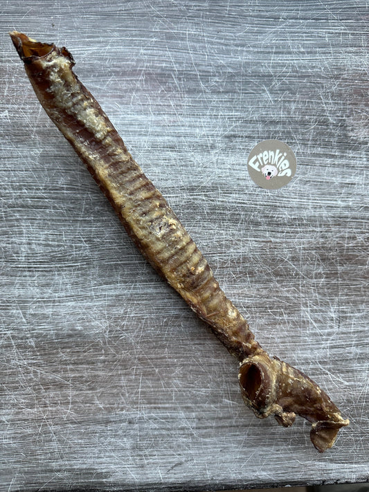 hondensnack lams luchtpijp