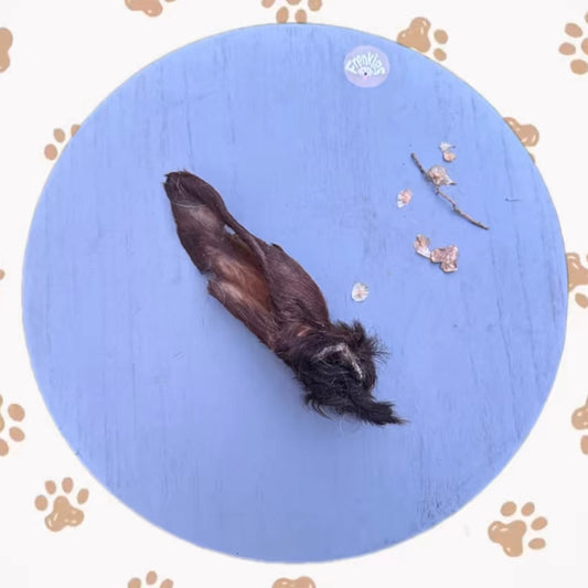 lam oren voor hond
