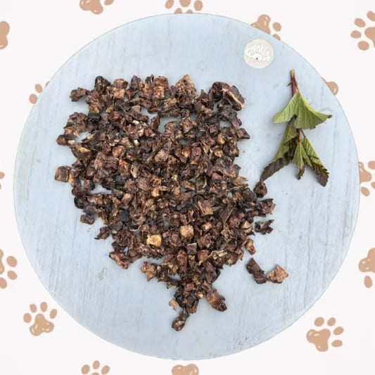 trainers voor de hond van paardenlong